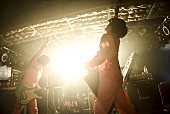 ＰＯＬＹＳＩＣＳ「【スペシャ列伝】121回目はPOLYSICS、髭、Kidori Kidori、SISTER JETら個性派バンドに新宿大熱狂」1枚目/40