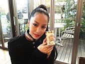 中島美嘉「中島美嘉 12年前のANNでの約束……「雪の華」冠したスウィーツ販売」1枚目/8