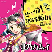 北乃カムイ「初音ミクのKEIが手掛けた北海道育成アイドル“北乃カムイ”CDデビュー」1枚目/2