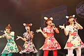 赤マルダッシュ☆「武田鉄矢プロデュースアイドル 赤マルダッシュ☆が2015年の飛躍を狙う痛快アクト」1枚目/38