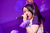 チームしゃちほこ「1月9日（金）【俺のしゃちほこライブ】」8枚目/16