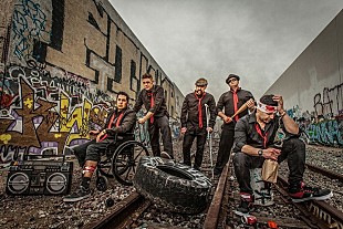 「ゼブラヘッド　初期ヒット曲を再録音収録したキャリア初ベスト盤をリリース　新曲も収録」