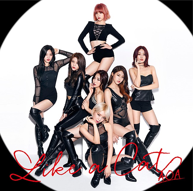 ＡＯＡ「」10枚目/10