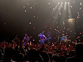 オーケー・ゴー「OK Go 紙吹雪、Q&amp;amp;Aコーナー、歌舞伎モノマネも？待望のジャパン・ツアーがスタート」1枚目/2