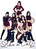 ＡＯＡ「」10枚目/10