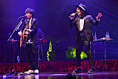 吉田山田「吉田山田 ストリングスカルテットとSPライブ敢行＆初のTVレギュラー番組『吉田山田のオンガク開放区』4月より開始」1枚目/5