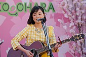 大原櫻子「大原櫻子 初の屋上ライブ敢行 寒さに声出なくなるも「風になんか負けないぞ！」」1枚目/6