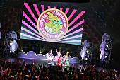 チームしゃちほこ「チームしゃちほこ【ZIP！　春フェス】レポート 新曲「天才バカボン」を初パフォーマンス披露し、桝アナとダンスも」1枚目/6