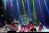 ９ｎｉｎｅ「9nine 武道館ライブのDVD＆Blu-rayとニューシングルを同時リリース決定、夏には野音ワンマンも」1枚目/3