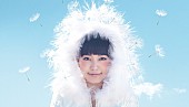 miwa「miwaの『情熱大陸』が拡大版として映像作品化、6/10リリース決定」1枚目/3
