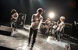 「THE BACK HORN ニコ生で12時間特別番組決定 渋公スペシャルライブの生中継も」