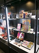 椎名林檎「立体ジャケットの展示風景（1）」8枚目/9