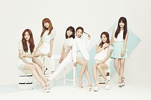 「Apink 初の日本ライブツアー決定 全国4都市で開催」