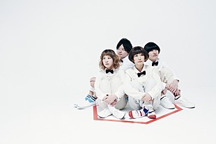 「ねこね、こねこね。「四半世紀カルテット」MV＆Nakajin（SEKAI NO OWARI）からのCD帯コメント公開」