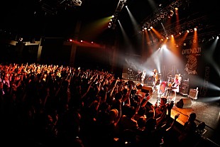 「Wienners 新メンバーを加えて272日ぶりに復活＆ライブ映像公開」