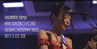 「白波多カミン with Placebo Foxes 初のライブ映像“仏壇の前でセックスをした”衝撃曲「姉弟」公開」