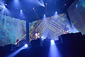 BUMP OF CHICKEN「Photo by 古溪一道」2枚目/4