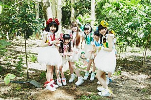 「乙女新党 オーストラリア・ケアンズ紹介映像公開「わたしたちがコアラを元気にします！ できる範囲で。」」