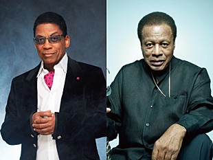 「ハービー・ハンコック＆ウェイン・ショーター来日記念で質問を募集」