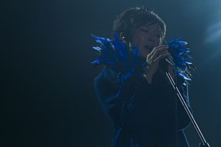 「椎名林檎 初の海外公演の最速レポート到着「台湾が気に入ってしまったので……」」