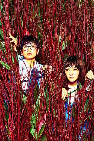 「現役OLエレクトロラップユニットCharisma.com、「アラサードリーミン」リリックビデオを公開」