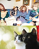 SCANDAL「SCANDAL 感動ニャンダフルストーリー『猫なんかよんでもこない。』主題歌担当＆コメント到着」1枚目/3