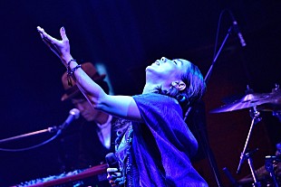 「元ちとせが歌い継ぐ「平和への祈り」、カヴァーアルバムを携えたビルボードライブの東京公演をレポート」