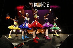 「チームしゃちほこ 4年連続で長崎に降臨、真のツアーファイナル？それとも打ち上げ？推し別のファン分析も展開」