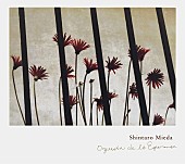 三枝伸太郎「Album Review： 『三枝伸太郎 Orquesta de la Esperanza』 聴く者の心に寄り添う優しいサウンドで、日々感じるささやかな希望を演出」1枚目/1