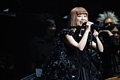 YUKI「YUKI 日本武道館でのツアー千秋楽公式ライブレポ到着」1枚目/1