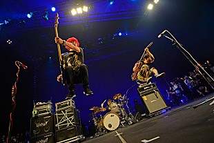 「Hi-STANDARD 3年ぶりライブや活動再開の裏側も追いかけたドキュメント放送決定」