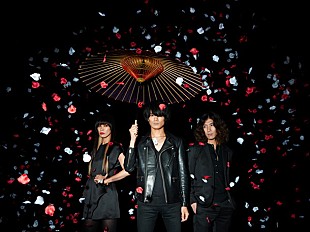 「a flood of circle 10周年企画の一環として初の海外公演決定」