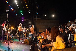 「井乃頭蓄音団 節目の【グッバイ東京コンサート】大盛況！年末は忘れらんねえよと2マン＆年越しライブ」