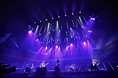 ＦＴＩｓｌａｎｄ「FTISLAND「音楽を一生懸命やって、ここに戻りたかった」武道館公演の放送決定」1枚目/6