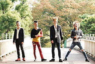 「SA 全国ツアーに騒音寺/THEイナズマ戦隊/The Mirraz/四星球/DOES参戦決定」