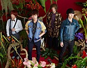 go!go!vanillas「go!go!vanillas、新AL収録曲「カウンターアクション」「ギフト」スペシャル映像公開」1枚目/3