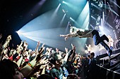 MAN WITH A MISSION「MAN WITH A MISSION ツアー【The World&amp;#039;s On Fire TOUR 2016】名古屋追加公演開催を発表」1枚目/8