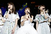 AKB48「」37枚目/40