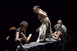 「進化し続けるダンサー平山素子、新作「Hybrid - Rhythm &amp; Dance」欧州公演決定」