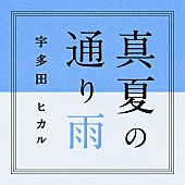 宇多田ヒカル「」3枚目/3