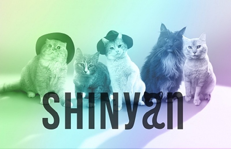 SHINee「猫5匹組SHINyanデビュー、リーダー・オニュにゃん「SHINeeに負けにゃい」」1枚目/2