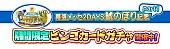 チームしゃちほこ「」10枚目/18