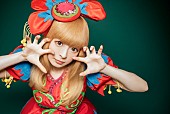 きゃりーぱみゅぱみゅ「きゃりーぱみゅぱみゅ アメリカ・ハワイ州でライブ開催」1枚目/1