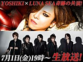 YOSHIKI「YOSHIKI（X JAPAN）× RYUICHI＆J（LUNA SEA）ニコ生特番決定」1枚目/1