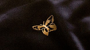 「【FRF '16】アヴァランチーズが出演キャンセル＆SHERBETSの出演が急遽決定、サイン会スケジュール公開」