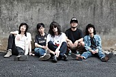 ドレスコーズ「ドレスコーズ 【ROCK IN JAPAN 2016】バンドメンバーは志磨遼平×ウエノコウジ×おとぎ話の牛尾＆前越×中村圭作」1枚目/1