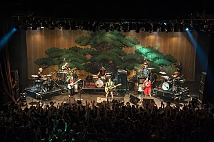 「爆裂変拍子ガールズバンド・tricot 初DVDリリース＆自主企画【爆祭】開催」