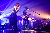 「TK from 凛として時雨×Aimer、ライブレポ到着　強烈な世界観を持つ2組が共演」1枚目/9
