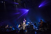 ｉｌｌｉｏｎ「illion（野田洋次郎/RADWIMPS）ライブ映像3週連続公開！ 第2弾は前作収録曲「PLANETARIAN」」1枚目/5