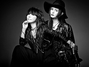 「杏子 美女たちのキャットファイト！ 盟友KONTAやリンダ（N'夙川BOYS）も登場するMV公開」